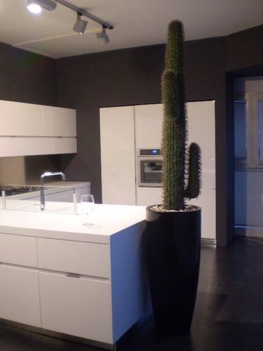 Cactus mexico artificiale con vaso nero conico